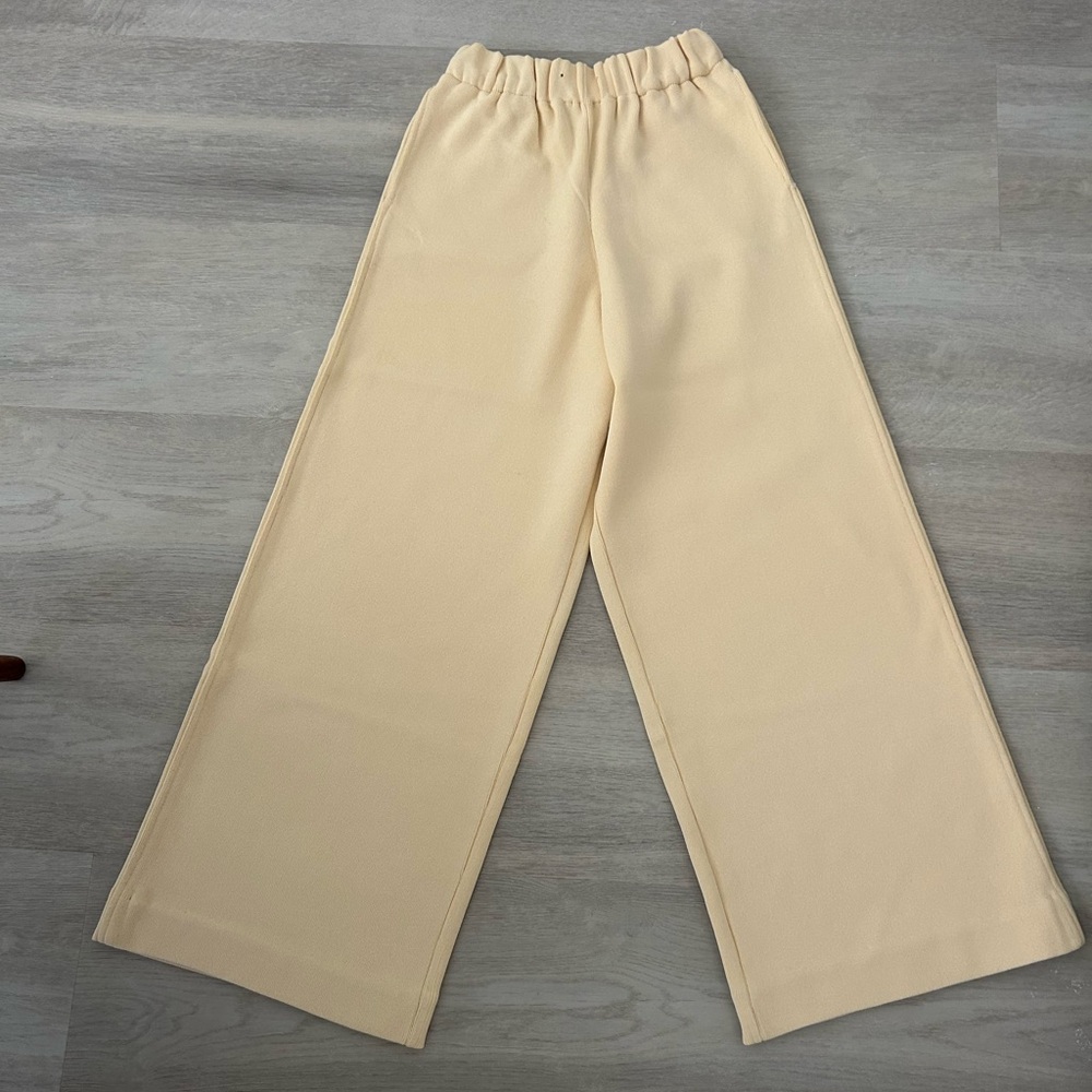 Zara knit pants